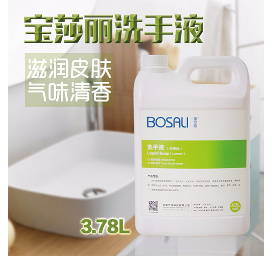 徐州宝莎丽洗手液
